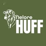 Nelore Huff